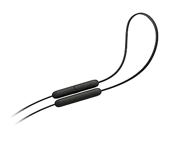 SONY WI-XB400ミュージックイヤホン 41K26FOxknL.jpg_BO30,255,255,